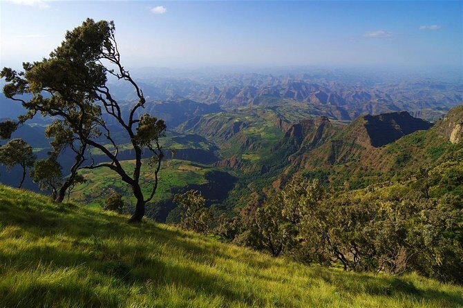 10 Days North Historical Tour - Lake Tana monastery day: Ura Kidane Mihret on the Zege Peninsula