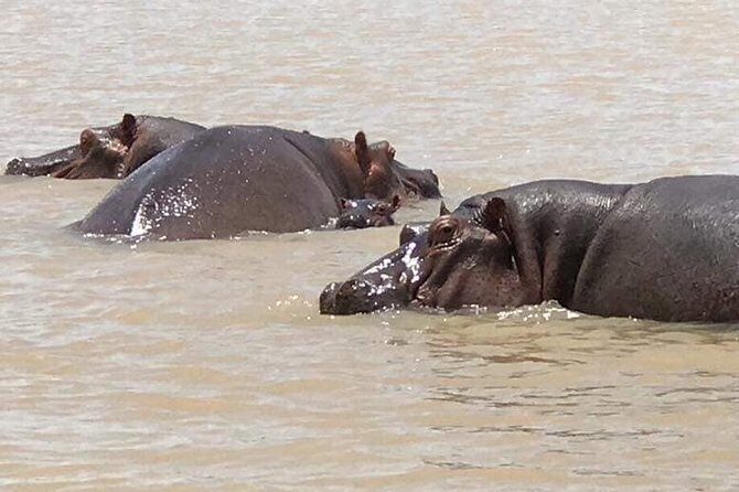 2-Day private Tour in Bahir Dar and Blue Nile falls - Key things to notice before you go