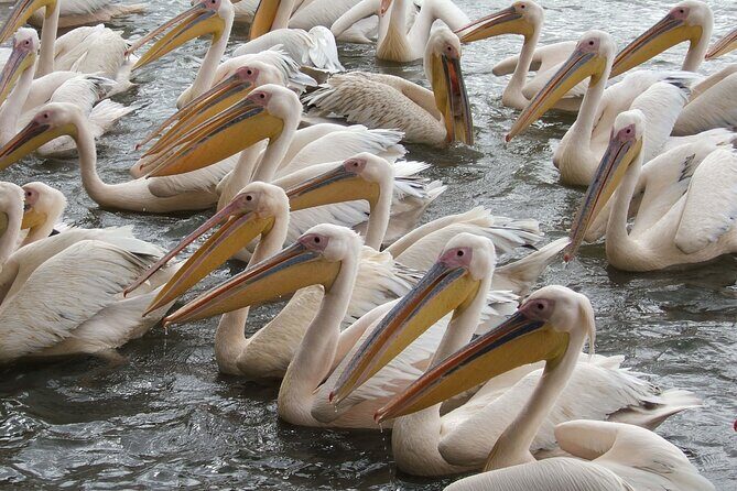 2-Day private Tour in Bahir Dar and Blue Nile falls - Price and value: is $300 per person fair?