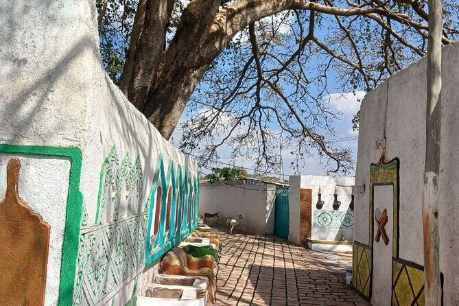 2 Days Harar Tours - Key highlights you’ll actually feel