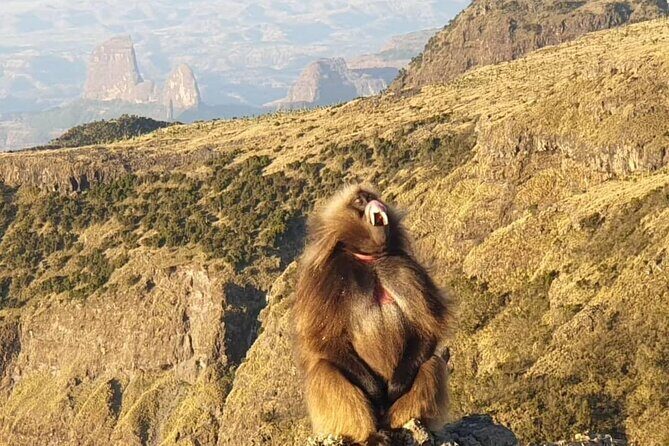 2 Nights 3 Days Trek to Semien Mountain - Key things to know before you go