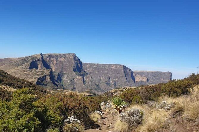 2 Nights 3 Days Trek to Semien Mountain - Sankabar to Geech: Jinbar waterfall, lobelia, and Kedadit sunset (Day 2)