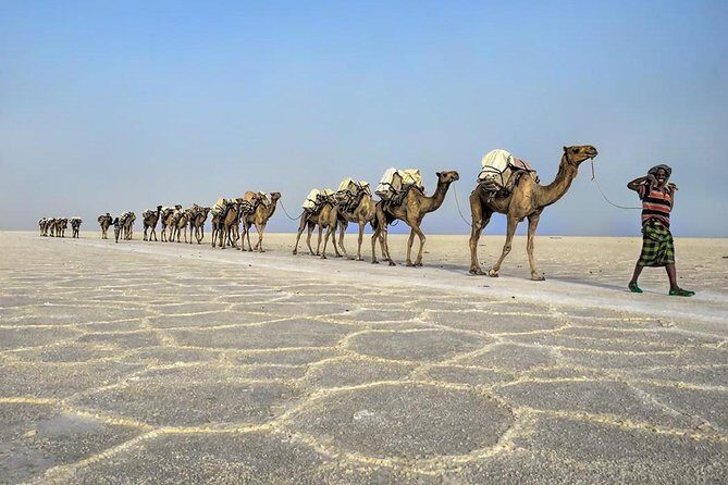 3 Day Tour to the Danakil Depression, Dallol, and Earta'le Volcano - Day 3: Dallol’s Toxic Colors, Sun Rise, and the Drive to Mekele