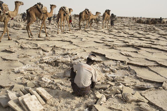 3 Day Tour to the Danakil Depression, Dallol, and Earta'le Volcano - What the Camping and Meals Mean for Your Comfort