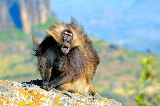 4 Days Tour to North Part of Ethiopia - Price and value: is $350 a fair deal?