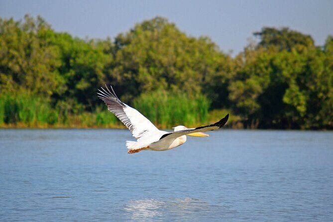 5 Day Addis,Bahir Dar,Gondar,Simien Mountains and Lalibela Tours - Simien Mountains National Park: UNESCO Views and High-Altitude Reality