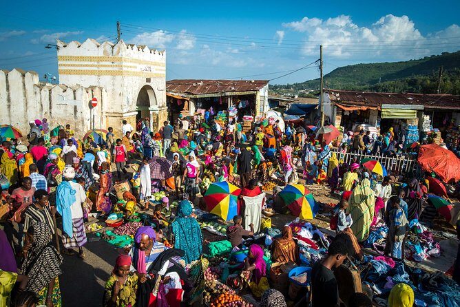 5 Days Tour to World Heritage–listed Harrar, Dire Dawa and Awash NATIONAL PARK - Harar Walled City: Old Walls, Historic Houses, and Walking at Street Level