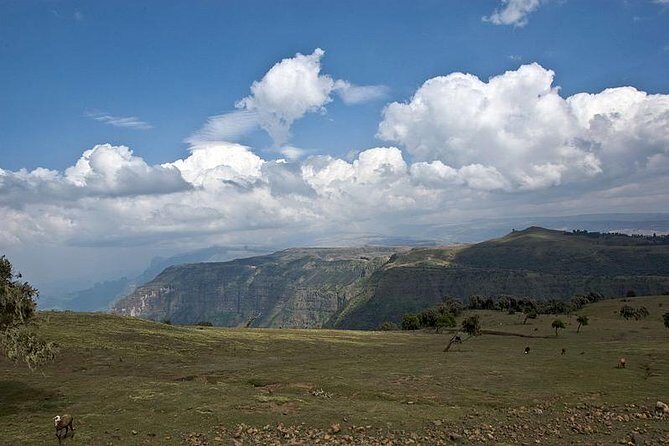 6 Days tour Package (Simien Mountains, Lalibela, and Danakil Depression) - Traveling from Lalibela to Mekele: the road portion you shouldn’t ignore