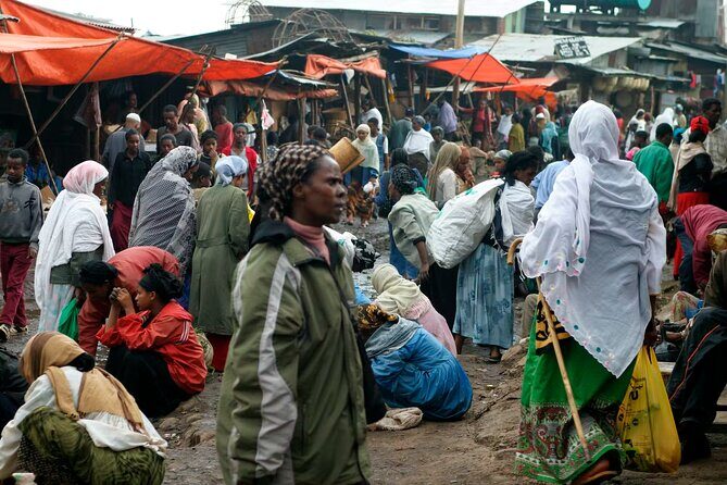Addis Ababa City Tours Full Day With Hotel Pickup And Drop Off. - Entoto Natural Park Viewpoint: Addis From 3000m Up
