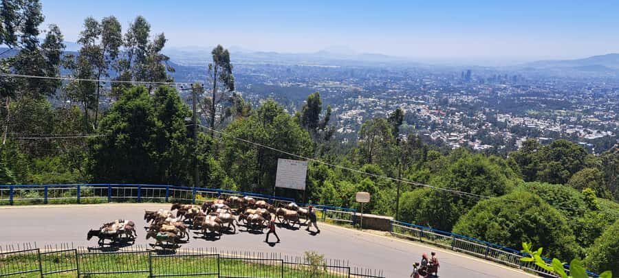 Addis Ababa Essentials: Flexible Full-Day City Sightseeing - Timing, comfort, and the kind of group this fits