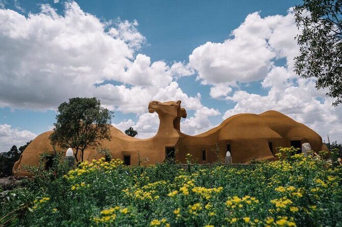 Bole Airport Transfer - Key reasons this transfer works