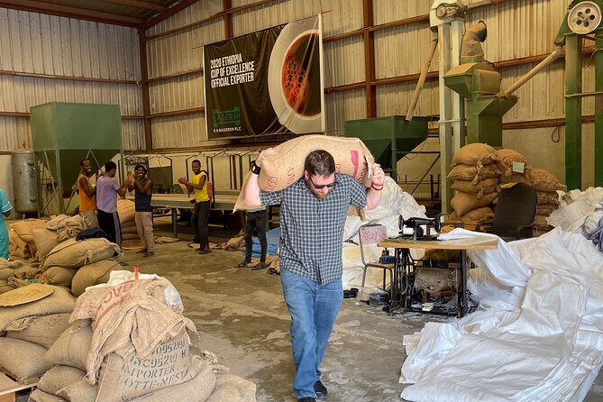 Coffee Cupping Tour in Addis Ababa - Coffee cupping in Addis Ababa: what the 5 to 6 hours includes