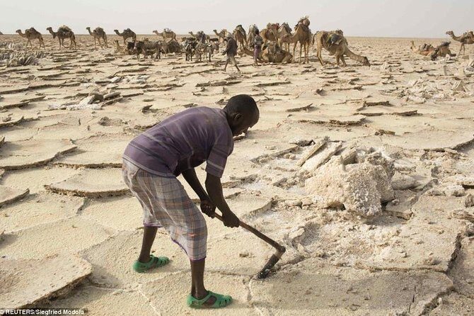 Danakil Depression and Lalibela 5 Days Tours - Afdera and Semera Flyback: Salt Extraction You Can See