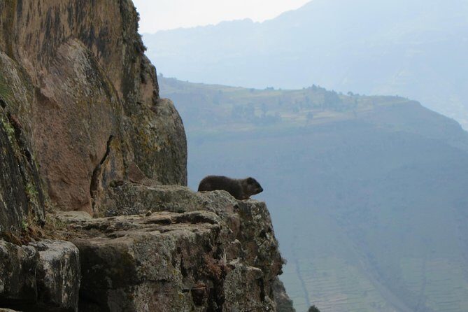 Day Hike Around Lalibela - Walking to Hudad Lodge: The Part That Feels Like a Real Morning Out
