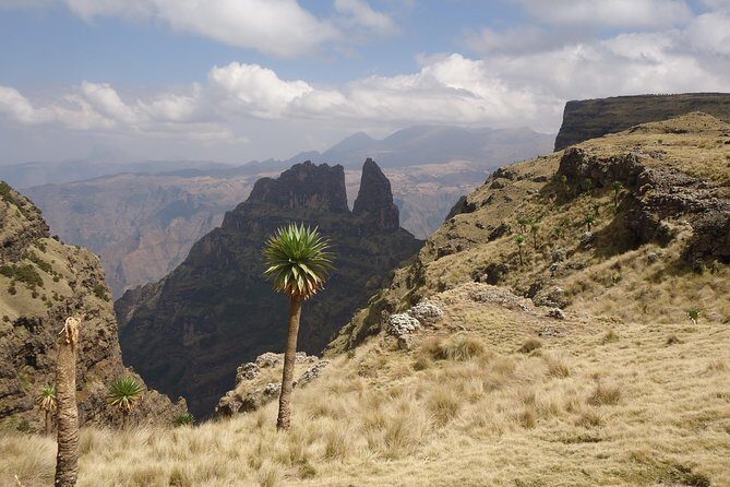 Day trek to Simeien Mountains - Private Tour Feel: Why Being Restricted to Your Group Changes the Day