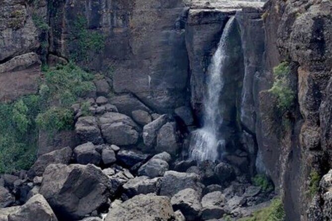 Day Trip Around Addis Ababa - Portuguese Bridge over the Blue Nile Gorge: Chelada baboons and Ethiopian birds