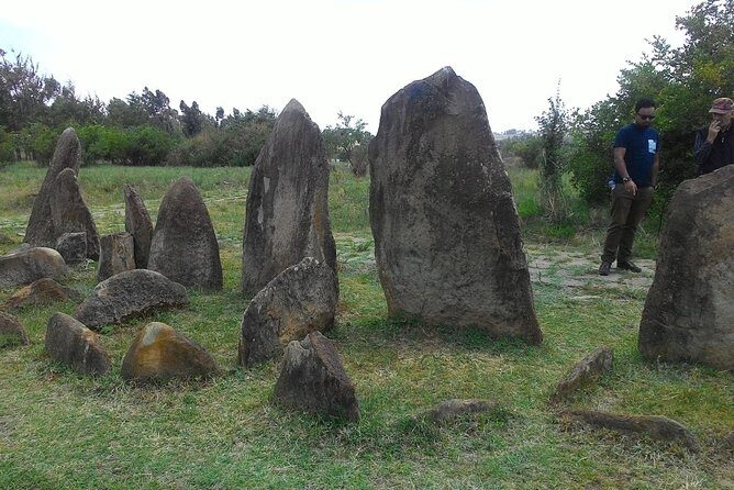 Day trip to Adadi Mariyam, Tiya and Melka kunture - Stop 1: Tiya World Heritage Site and its carved-stone focus