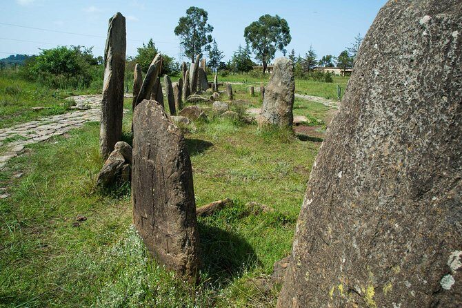 Day trip to Adadi Mariyam, Tiya and Melka kunture - Price and logistics: what $58 buys you