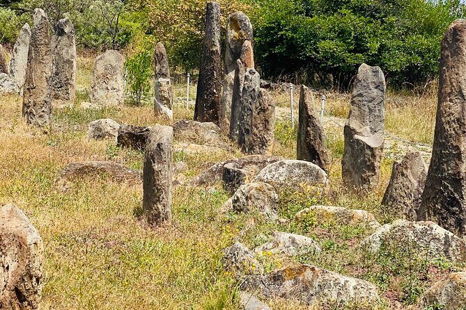 Day Trip to Adadi Rock and Tiya Archeological Excursion - Stop 2: Tiya stelae, 36 standing stones, and the symbols no one fully decodes