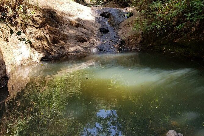 Day Trip to Menagesha Suba Forest from Addis Ababa - Price and value: what $130 buys you in the real world