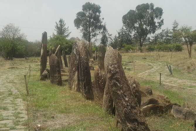 Day Trip to Tiya UNESCO Site & Melka Kunture Archaeological Site - Key highlights worth your time