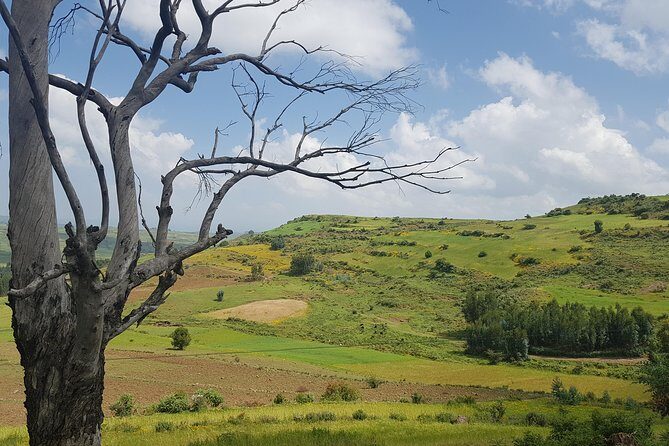 Debre Libanos Monastery and Jemma River Gorge - Day Tour from Addis Ababa - Portuguese Bridge and the Jemma River Gorge: waterfalls, views, and baboons