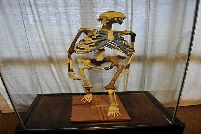 Full Day Addis Ababa City Tour with Hotel Pick Up And Drop Off - Stop 1: National Museum of Ethiopia and the Lucy Moment