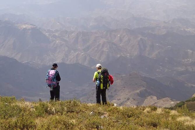 Lasta Mountains: Highland Eco Trekking Tour in Lalibela - Wildlife and highland nature: gelada baboons and Ethiopian wolves