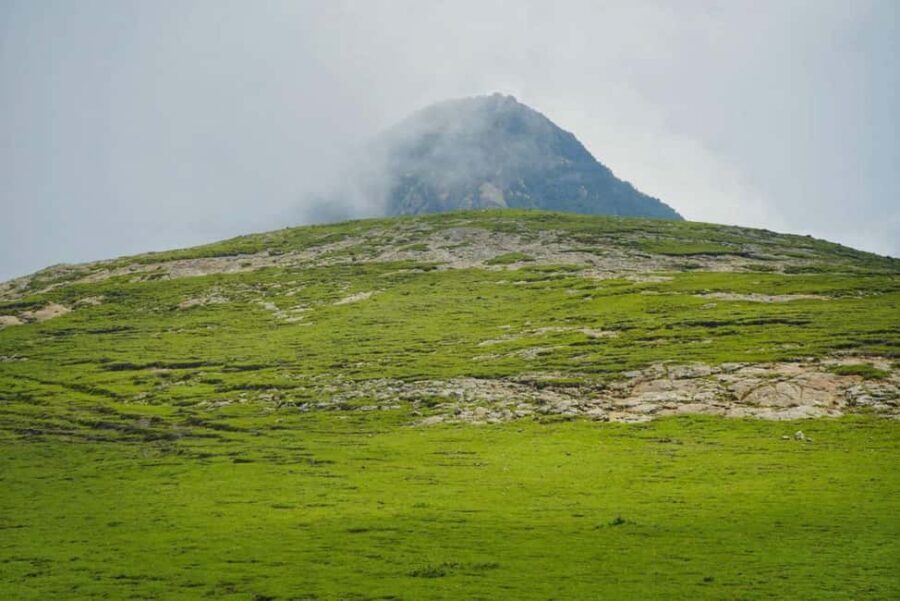 Mogle Mountain Hiking For Birding, Natures From Addis Ababa - Reaching the Summit: Addis Ababa’s 360° View From Above 3,000m