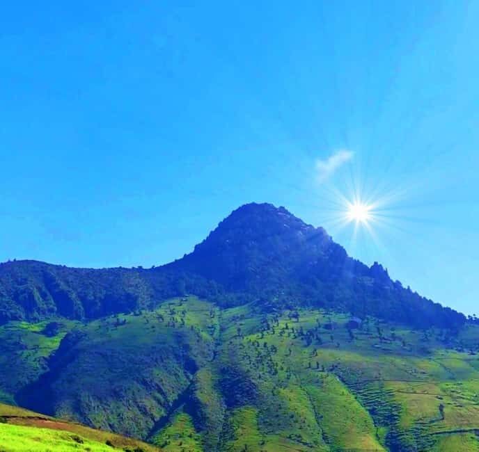 Mogle Mountain Hiking For Birding, Natures From Addis Ababa - The Two-Hour Climb: Birding Country at Mogle Hills Elevation