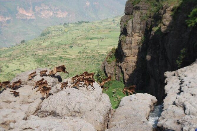 Nature & Historical day trip to Debrelibanos and the beautiful Jemma valley - Debre Libanos and the Jemma Valley: Why This Feels Like More Than a Drive