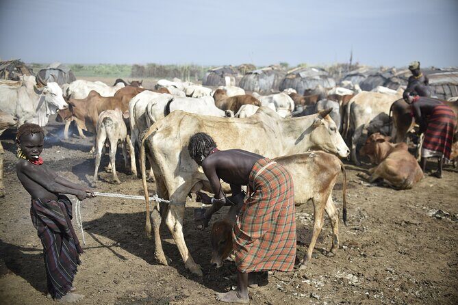 Photography Expeditions to Omo Valley - Turmi route: Mursi-area days followed by Hamer and Karo artistry