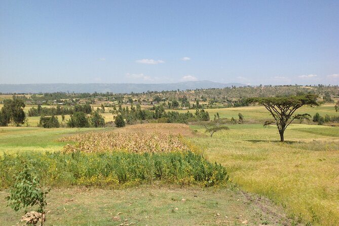 Private Full-Day Stone Age and Medieval Tour from Addis Ababa - Adadi Maryam: rock-hewn church, working countryside, and lunch that feels real
