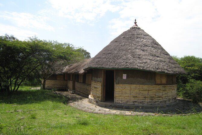 Private Full-Day Stone Age and Medieval Tour from Addis Ababa - Who this private Stone Age to Tiya tour suits best