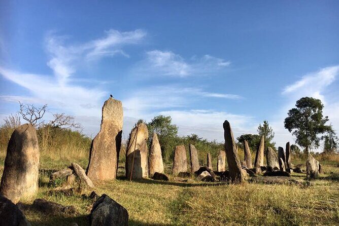 Private Full-Day Stone Age and Medieval Tour from Addis Ababa - Tiya UNESCO: the stelae field that rewards a slower gaze