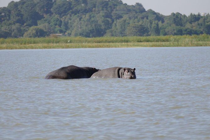Private Guided Tours To Bahir Dar Lake Tana Monastery & Blue Nile Waterfalls - Key things I’d circle before booking