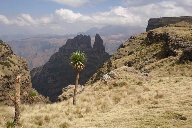 Simien Mountains National Park – 7 Day Trek - Mekarebya to Mulit: verbat monkeys, Insya River crossings, and a steep finish