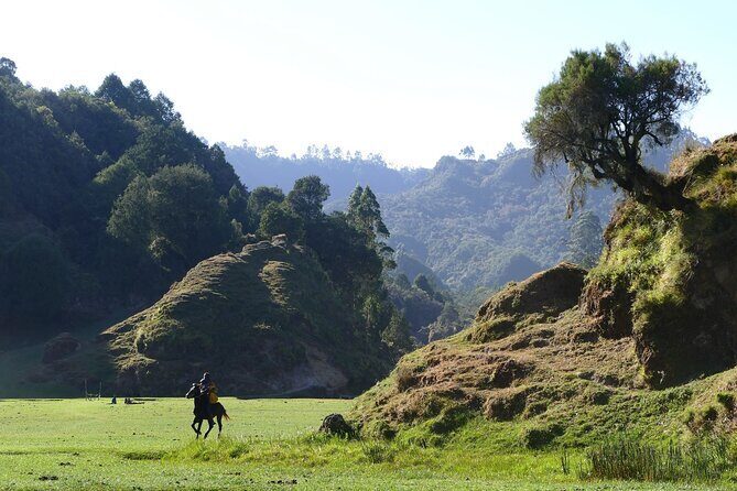 Stunning Views Wonchi Crater Lake a Private Day Trip - A 9-hour mountain day that starts in Addis Ababa