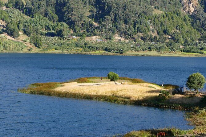 Stunning Views Wonchi Crater Lake a Private Day Trip - Stop 1 in Woliso: coffee, bath-house history, and a breather